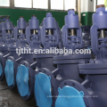 DIN cast iron bellows globe valve